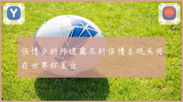 伤情分析师透露尼科伤情乐观或将在世界杯复出