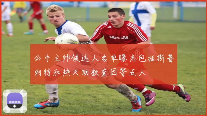 公牛主帅候选人名单曝光包括斯普利特和热火助教奎因等五人